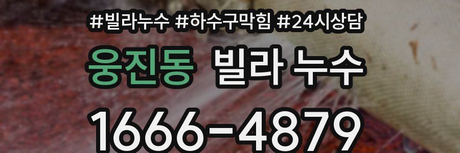 웅진동 빌라 누수