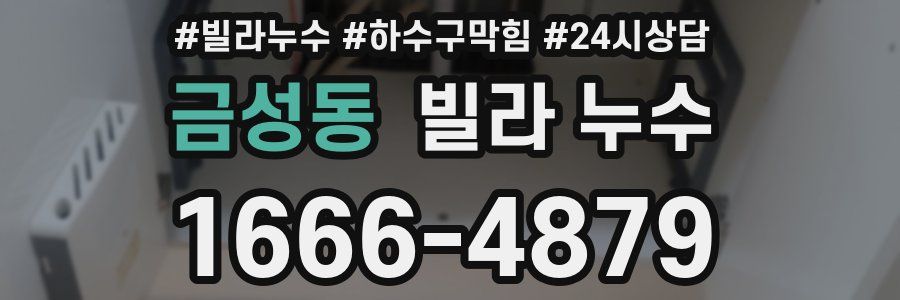 금성동 빌라 누수