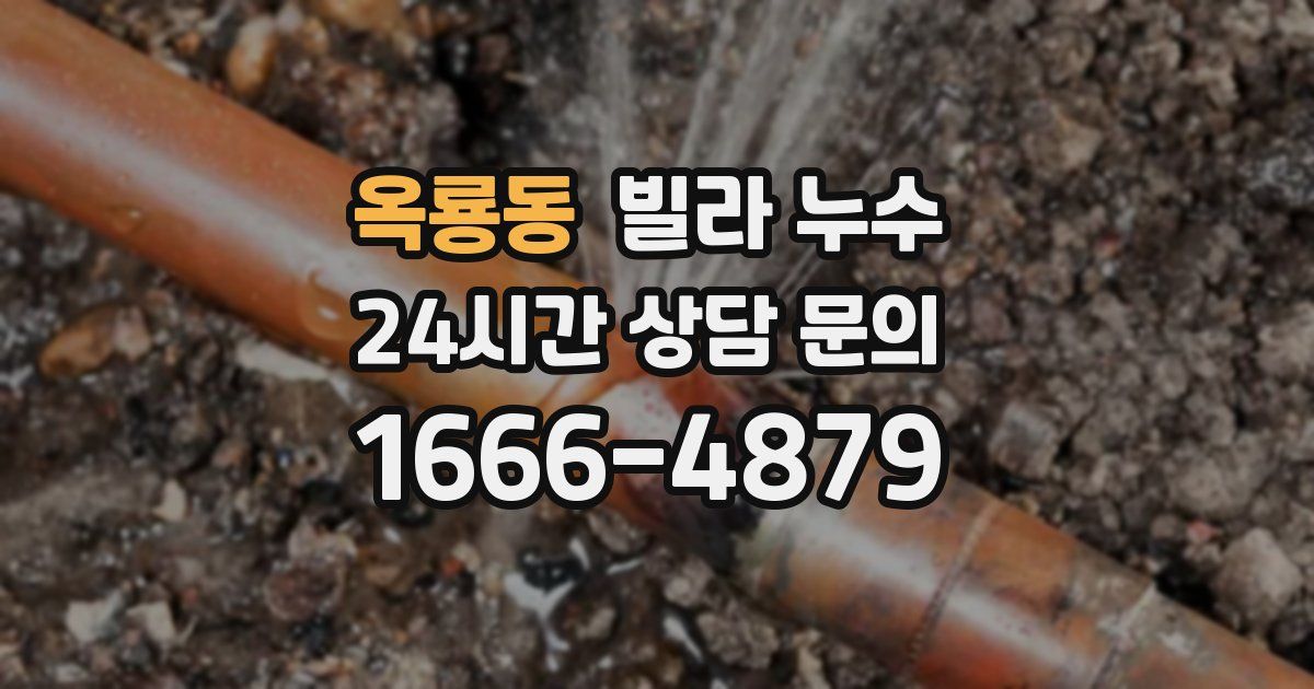 옥룡동 빌라 누수