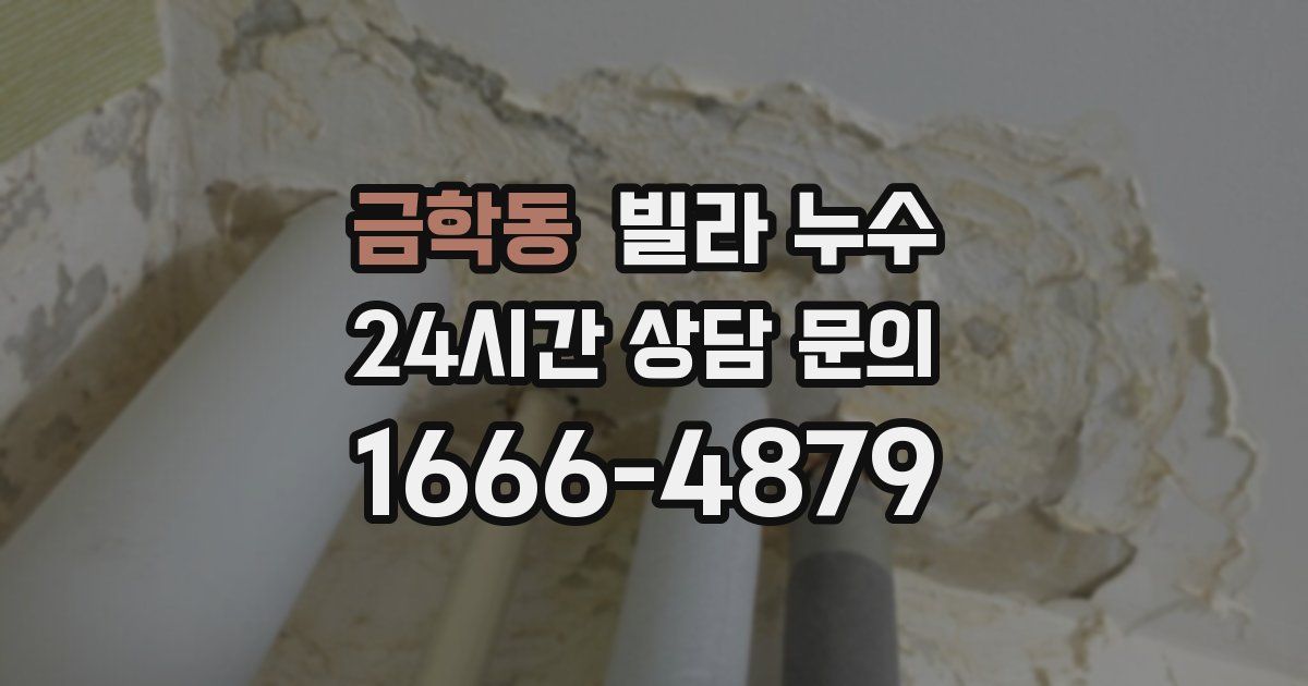 금학동 빌라 누수