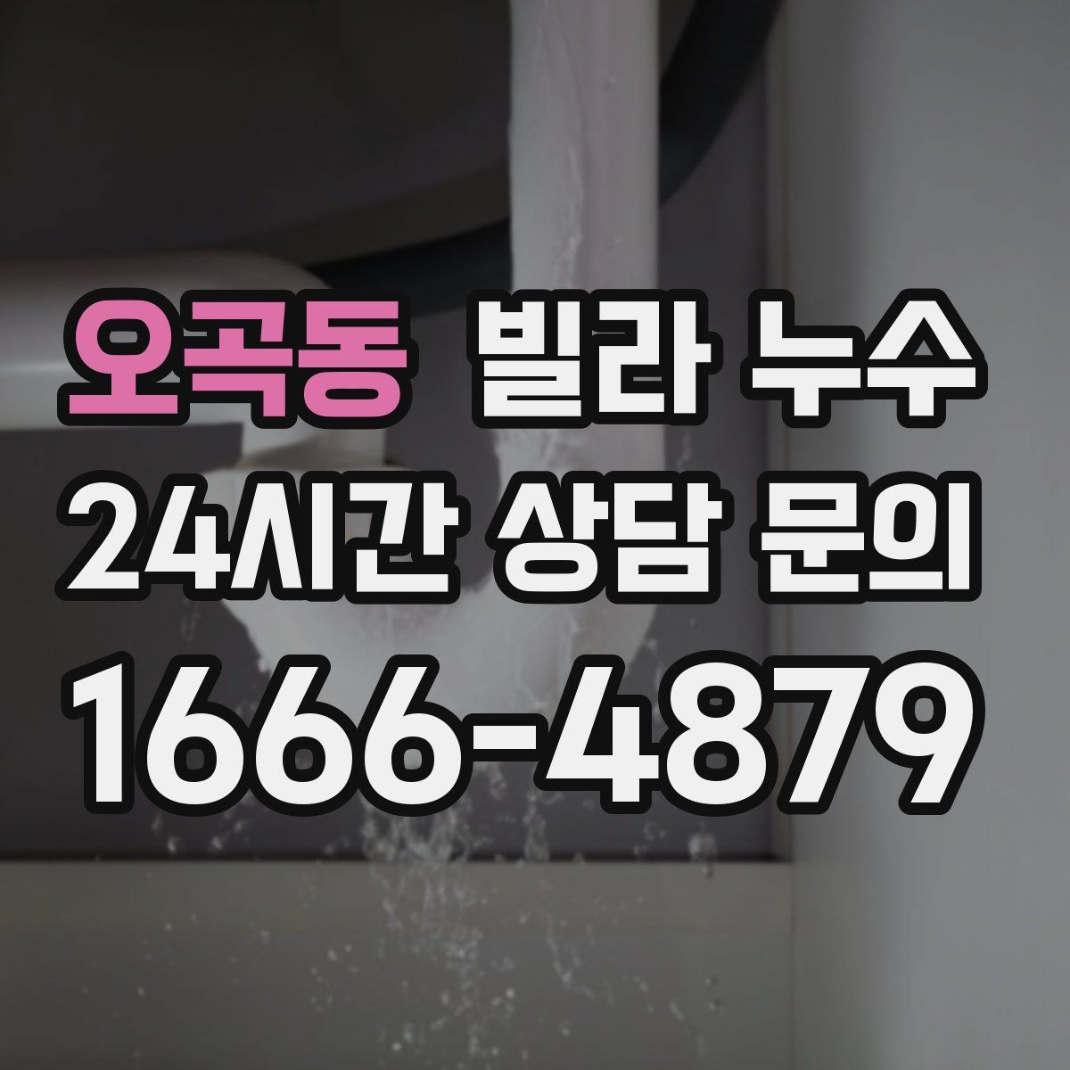 오곡동 빌라 누수