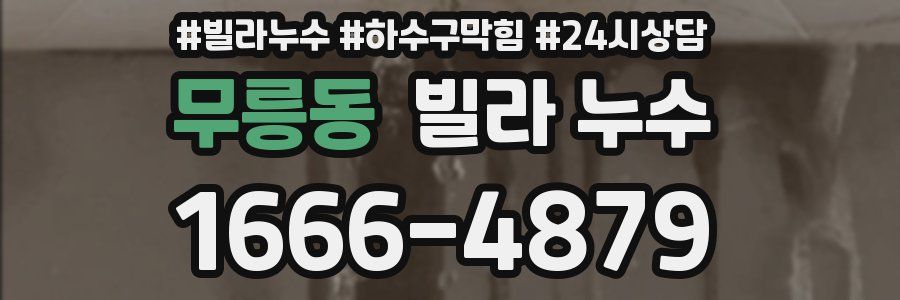 무릉동 빌라 누수