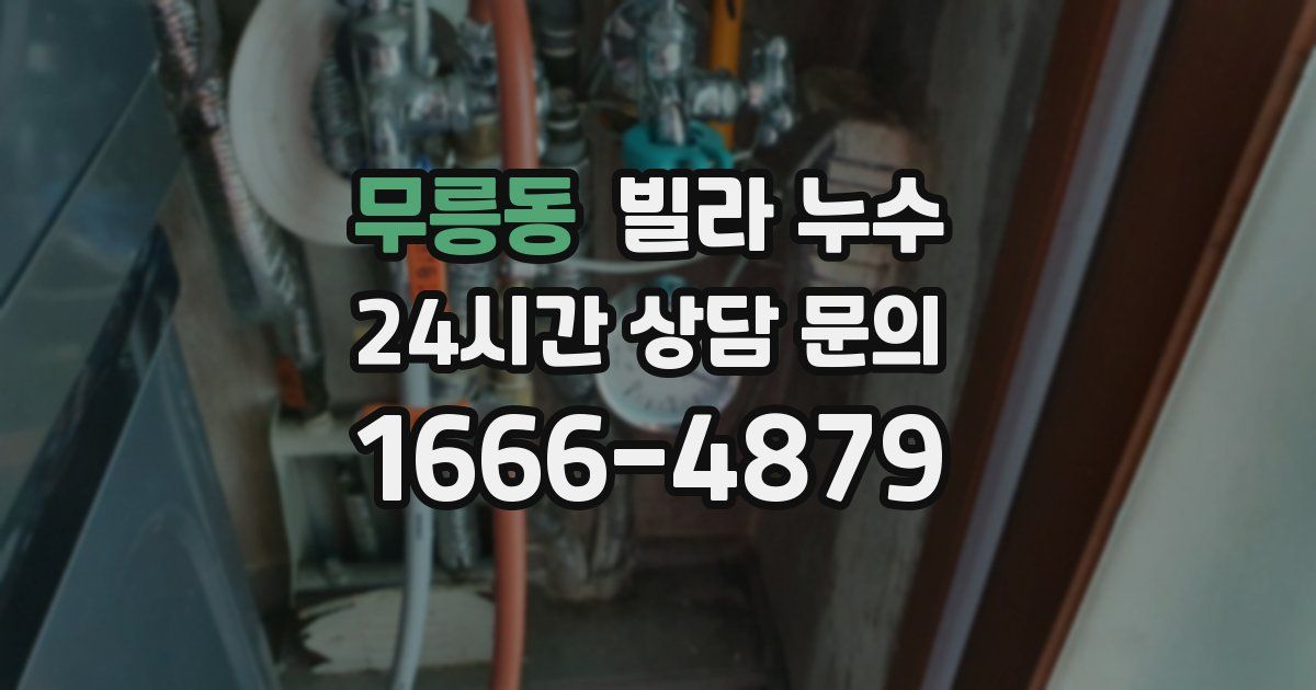 무릉동 빌라 누수