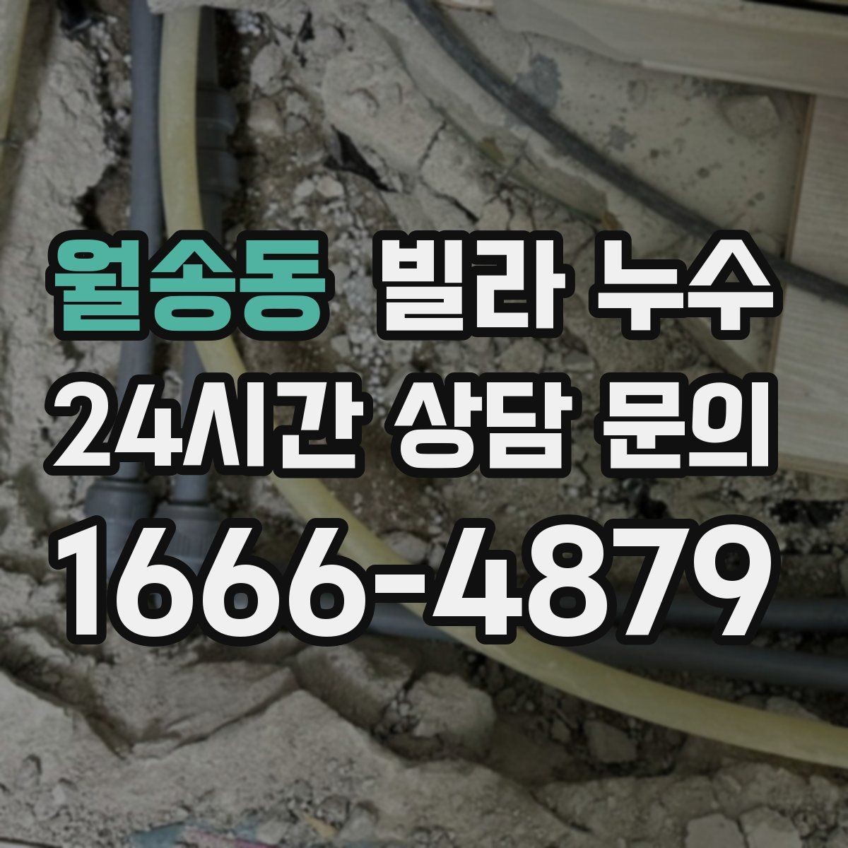 월송동 빌라 누수 주방 쪽 벽이 젖는다면 배관 가능성