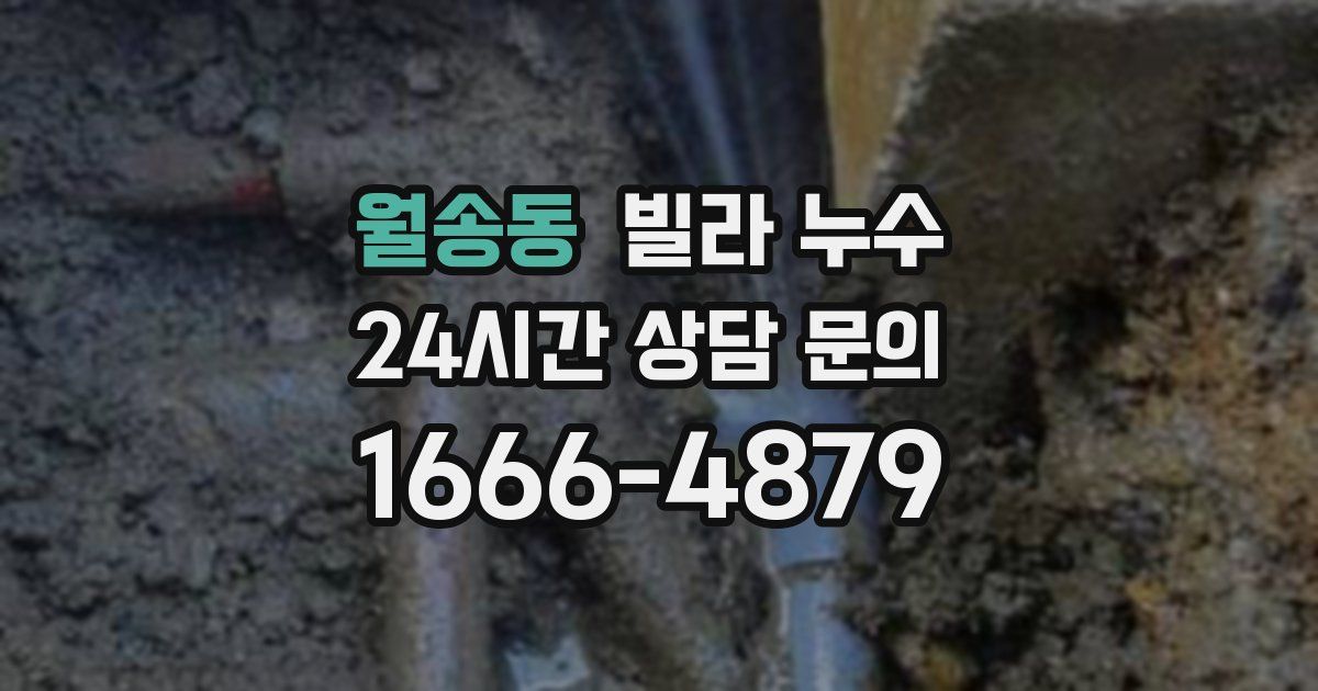 월송동 빌라 누수