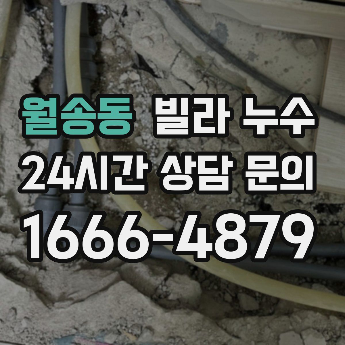 월송동 빌라 누수