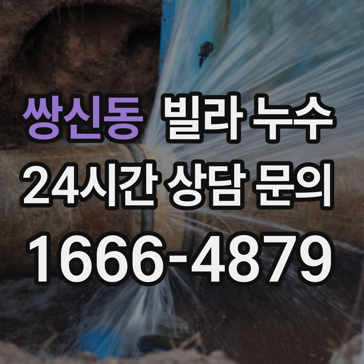 쌍신동 빌라 누수