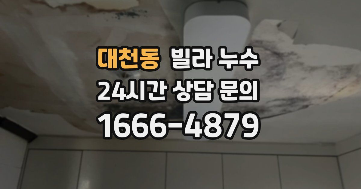 대천동 빌라 누수