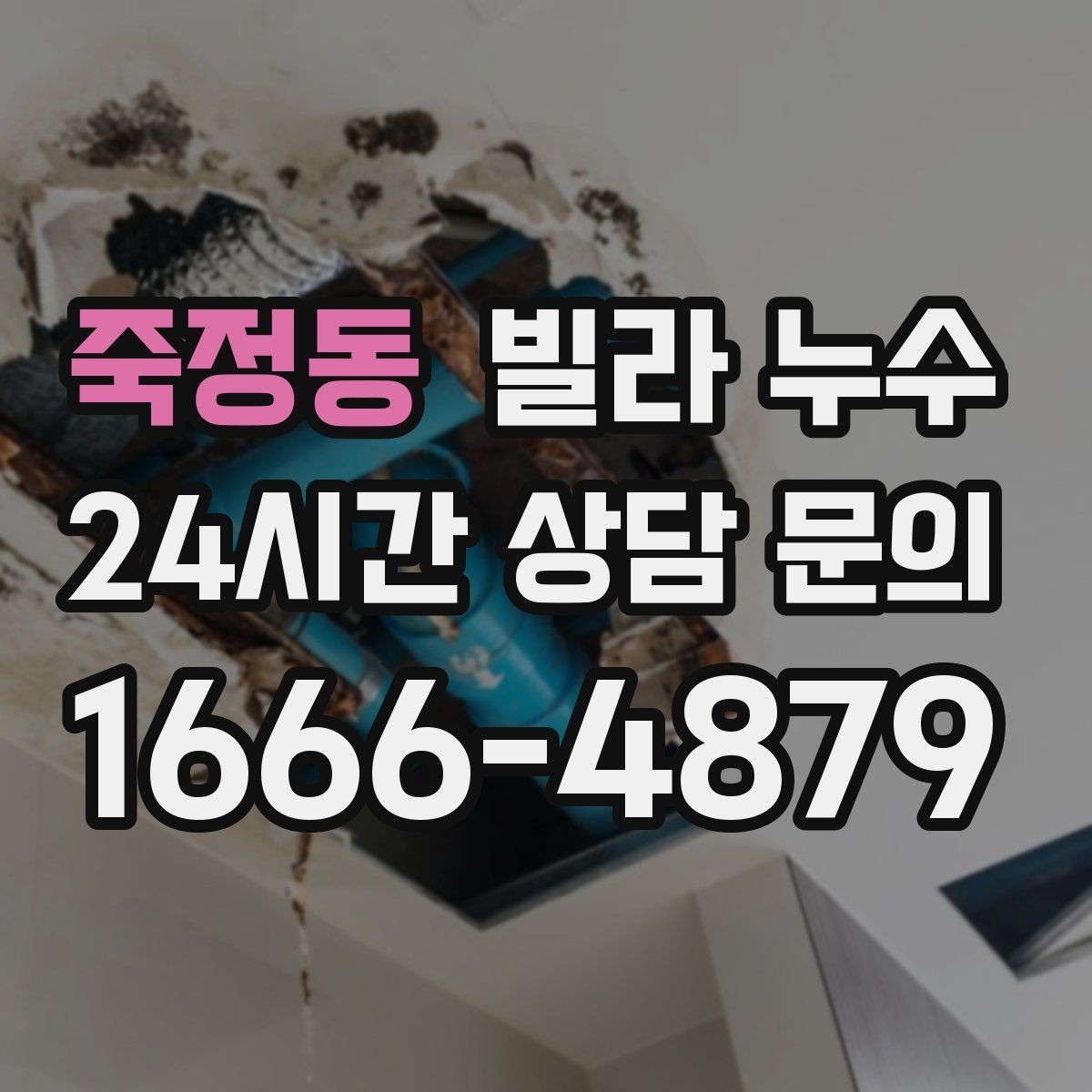 죽정동 빌라 누수 한 번 멈췄다가 다시 젖으면 재점검 필요