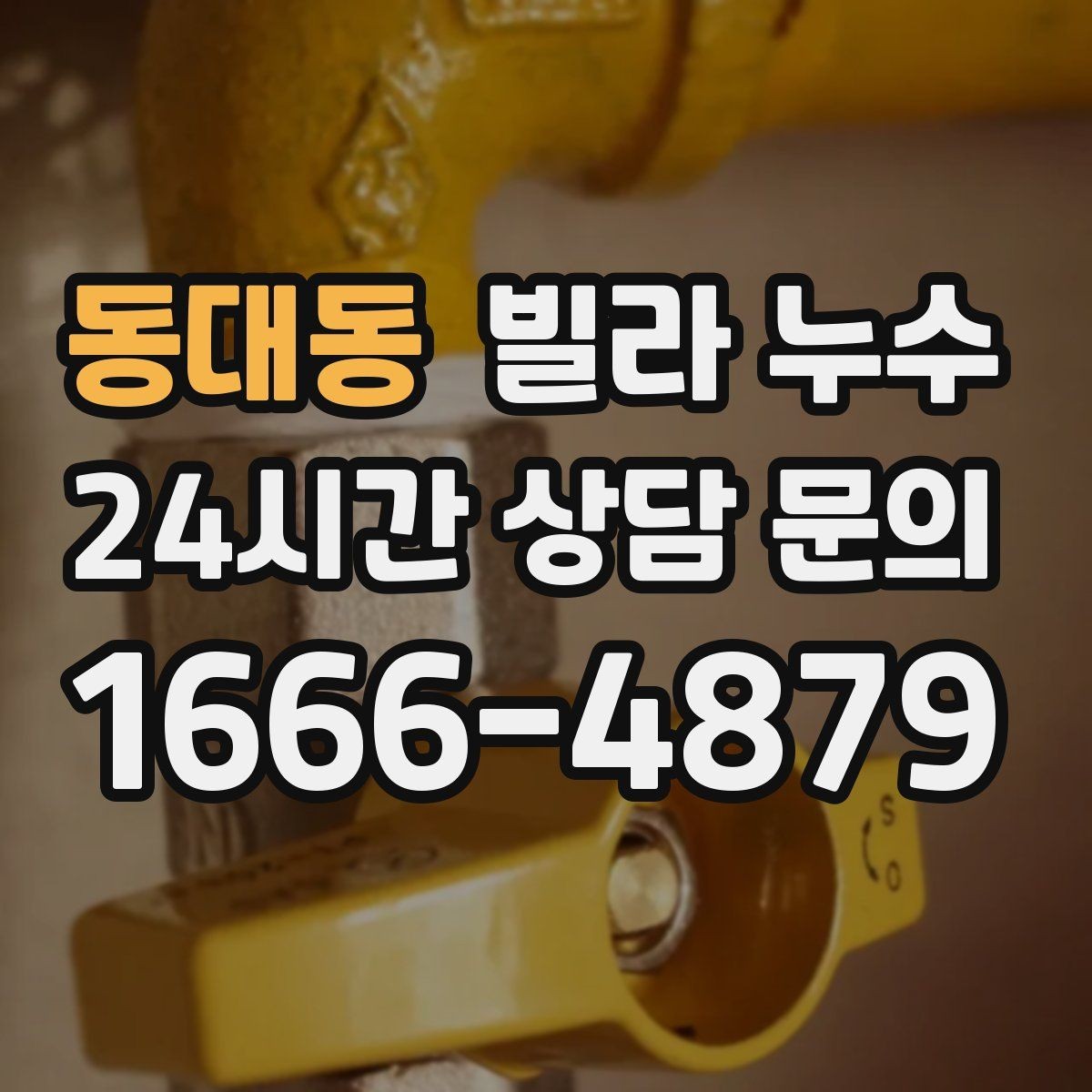 동대동 빌라 누수 원인 확인부터 복구까지 흐름을 정리