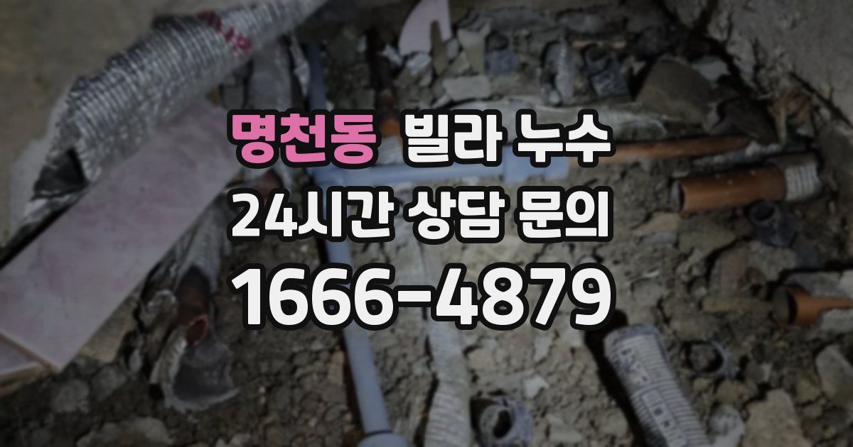 명천동 빌라 누수