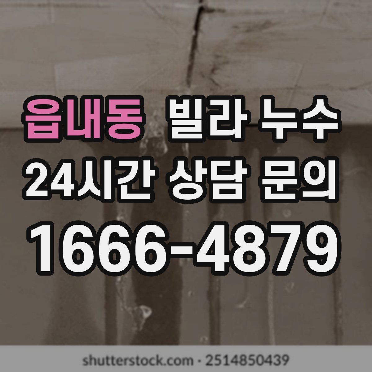 읍내동 빌라 누수