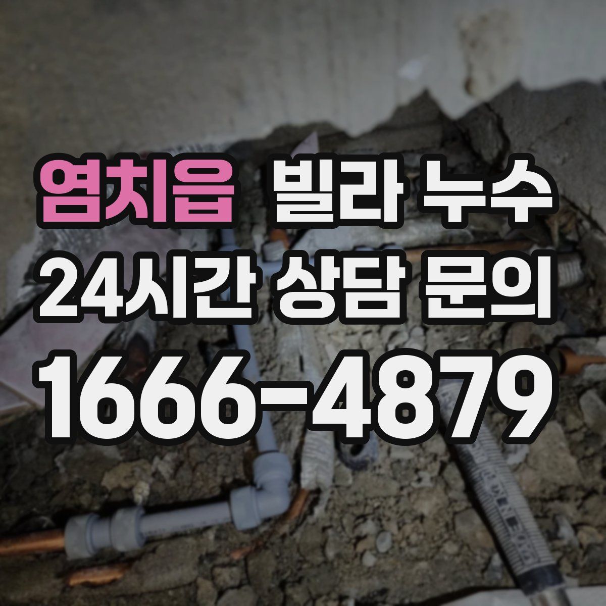 염치읍 빌라 누수