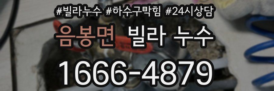 음봉면 빌라 누수