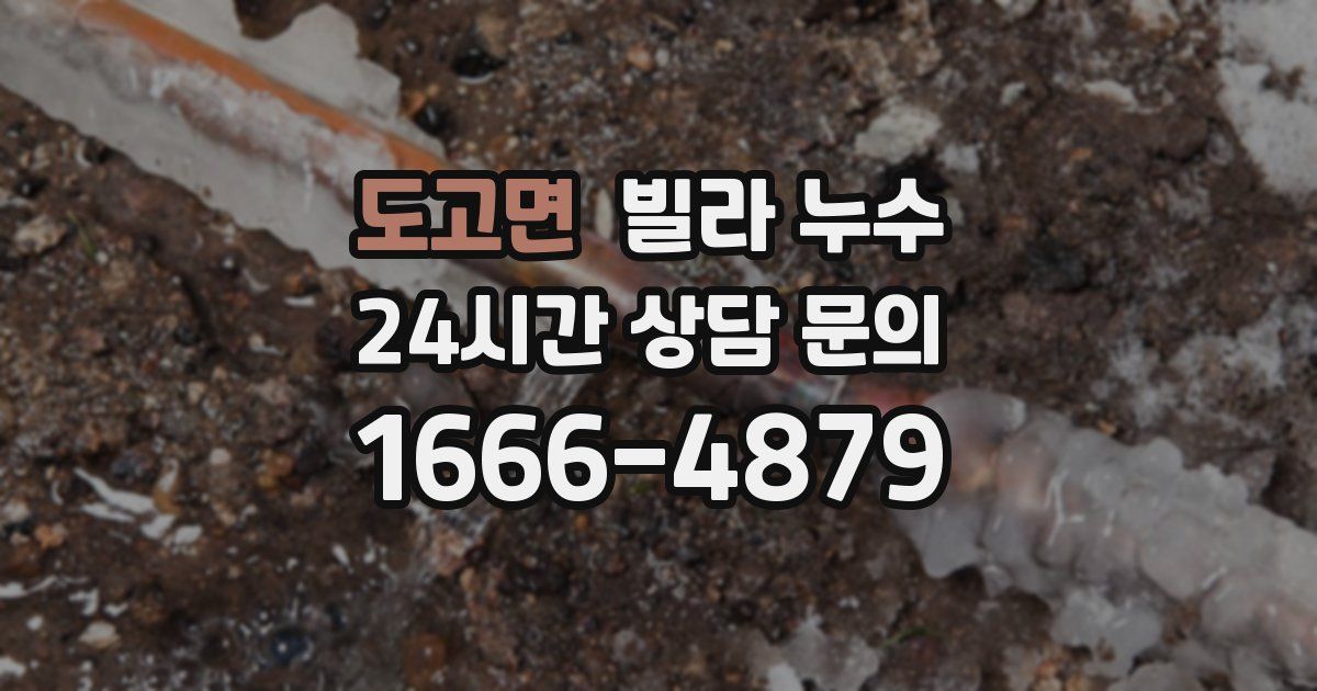 도고면 빌라 누수