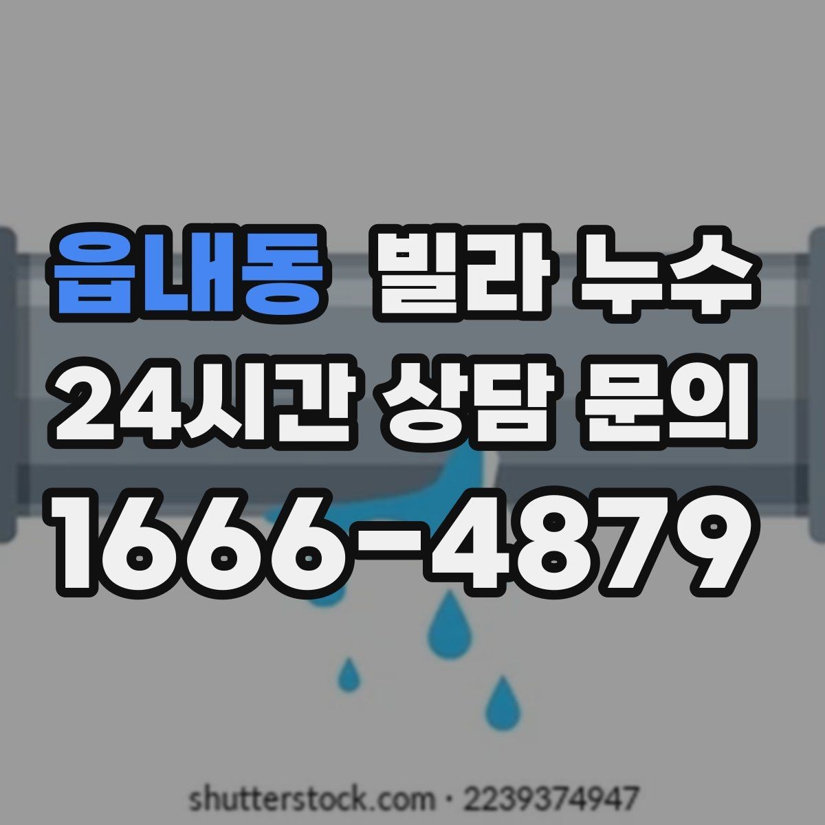 읍내동 빌라 누수 벽지에 얼룩이 번질 때 놓치면 안 되는 신호