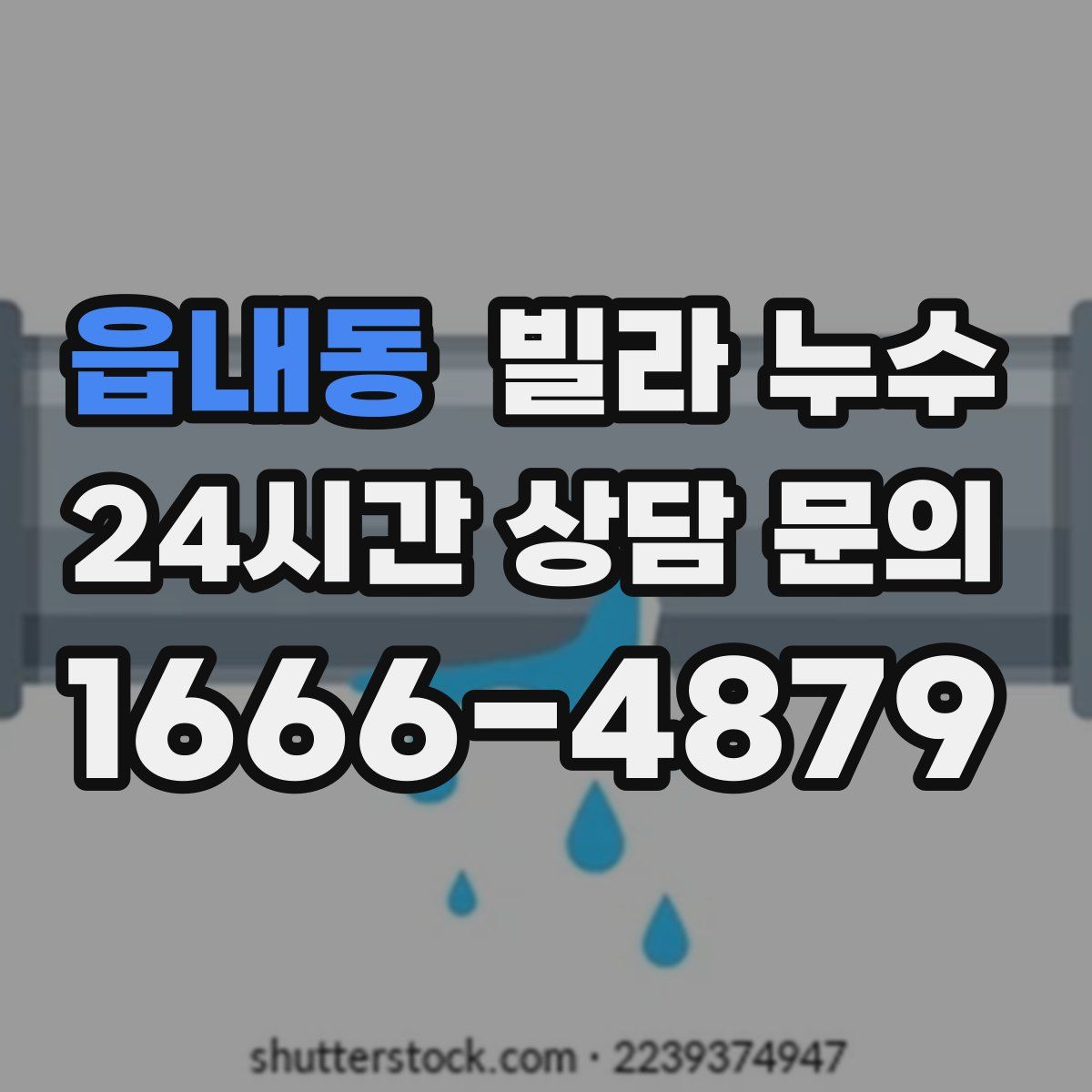 읍내동 빌라 누수