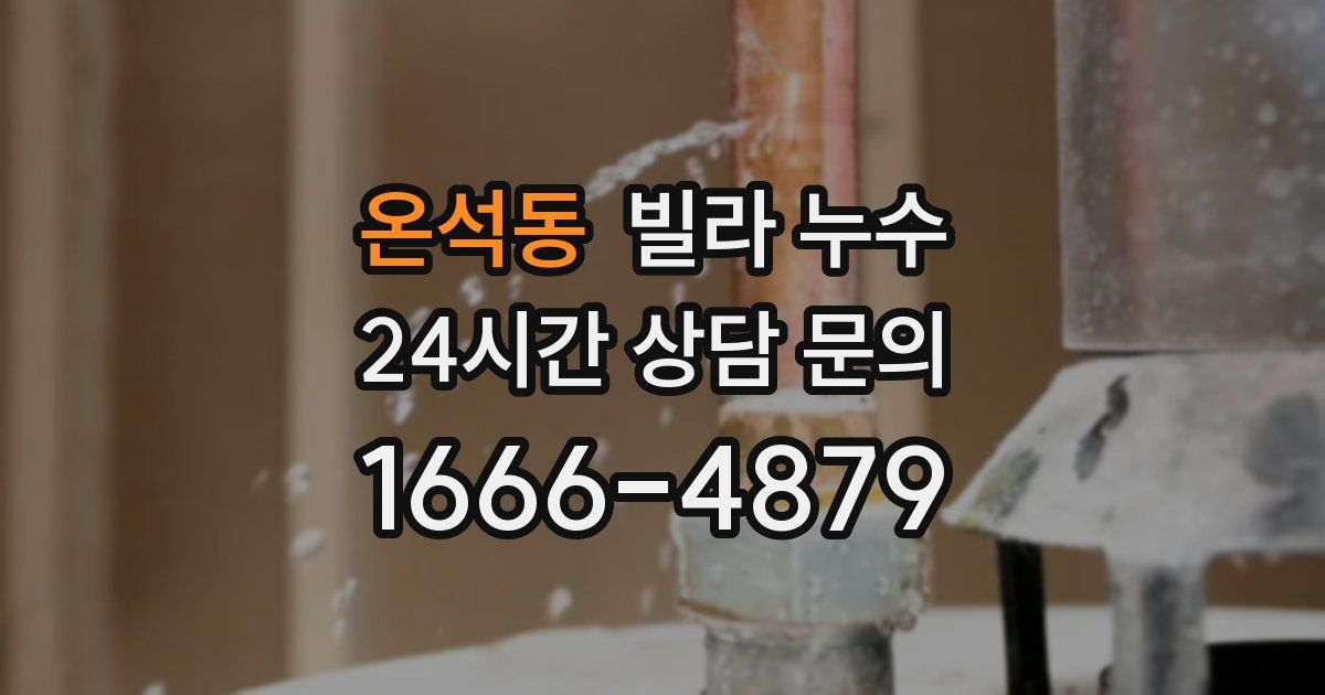 온석동 빌라 누수