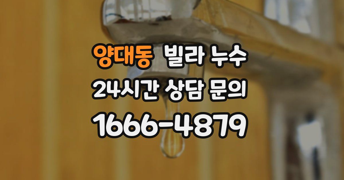 양대동 빌라 누수