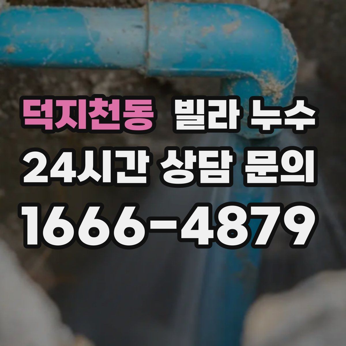 덕지천동 빌라 누수 세탁기 호스 주변 누수로 바닥이 젖는 경우