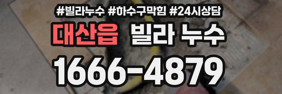 대산읍 빌라 누수