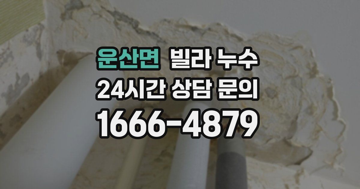 운산면 빌라 누수