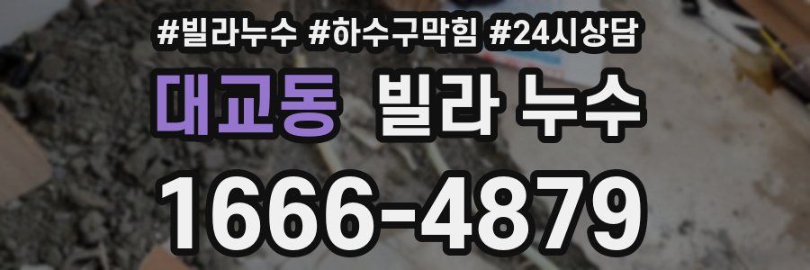 대교동 빌라 누수