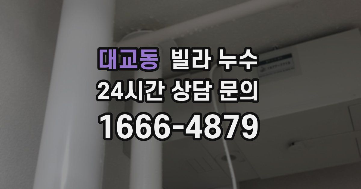 대교동 빌라 누수