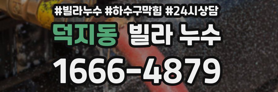 덕지동 빌라 누수