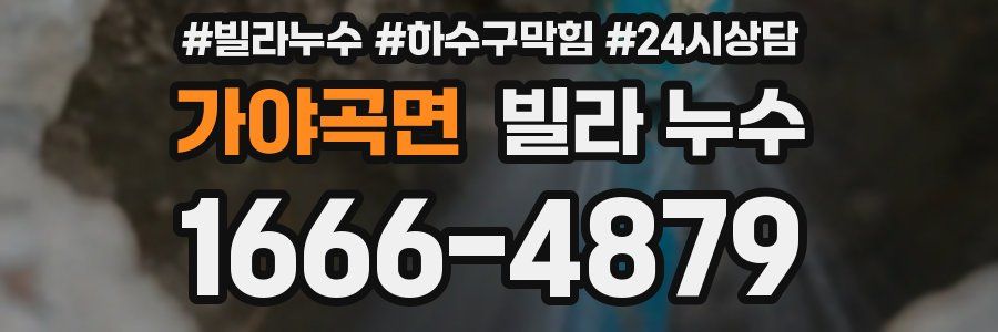 가야곡면 빌라 누수