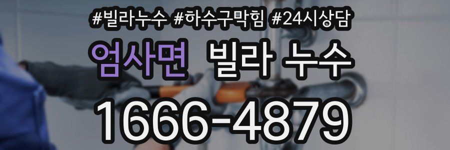 엄사면 빌라 누수