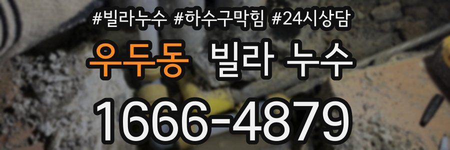 우두동 빌라 누수