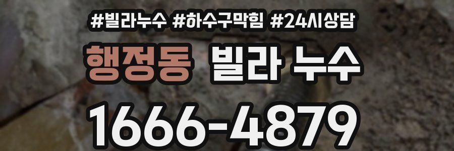 행정동 빌라 누수