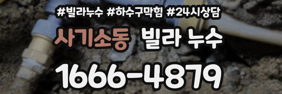 사기소동 빌라 누수