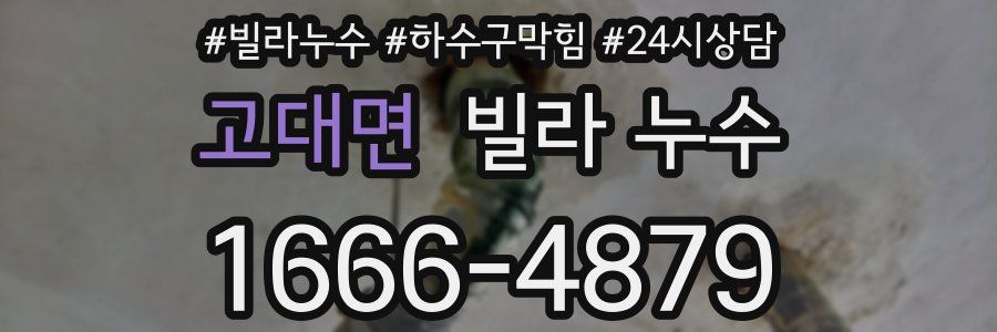 고대면 빌라 누수