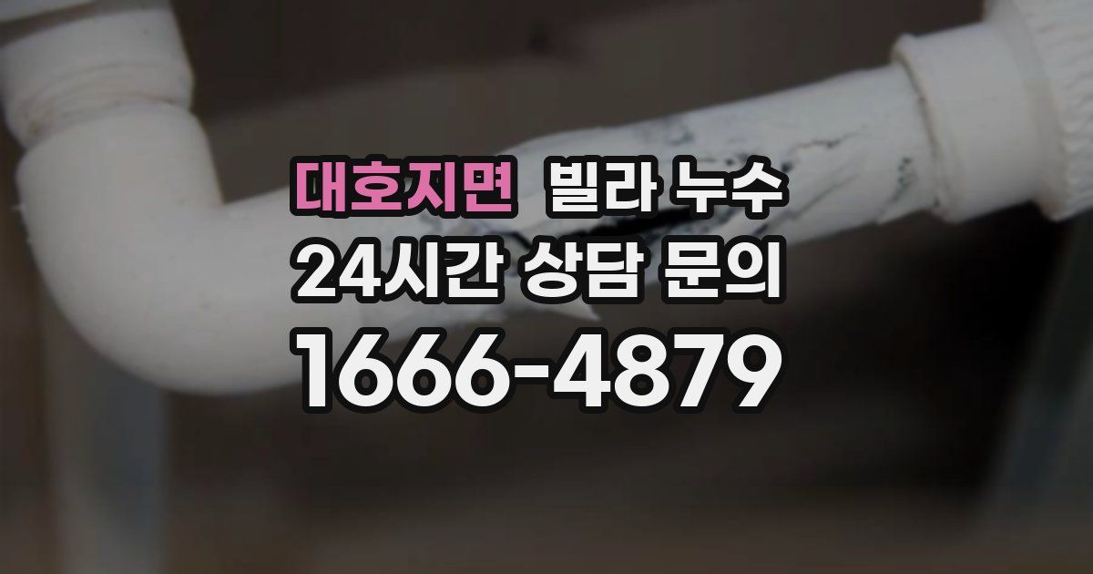 대호지면 빌라 누수