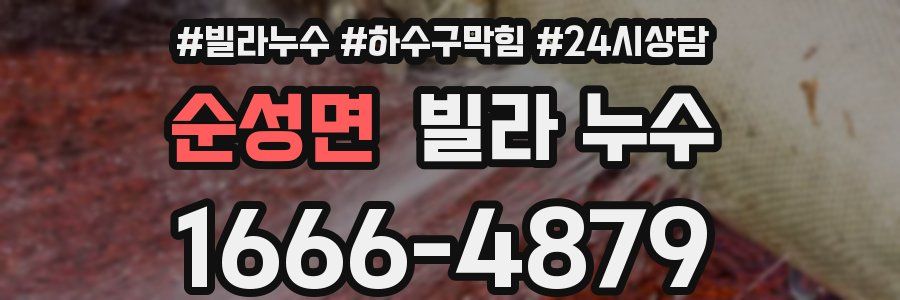 순성면 빌라 누수