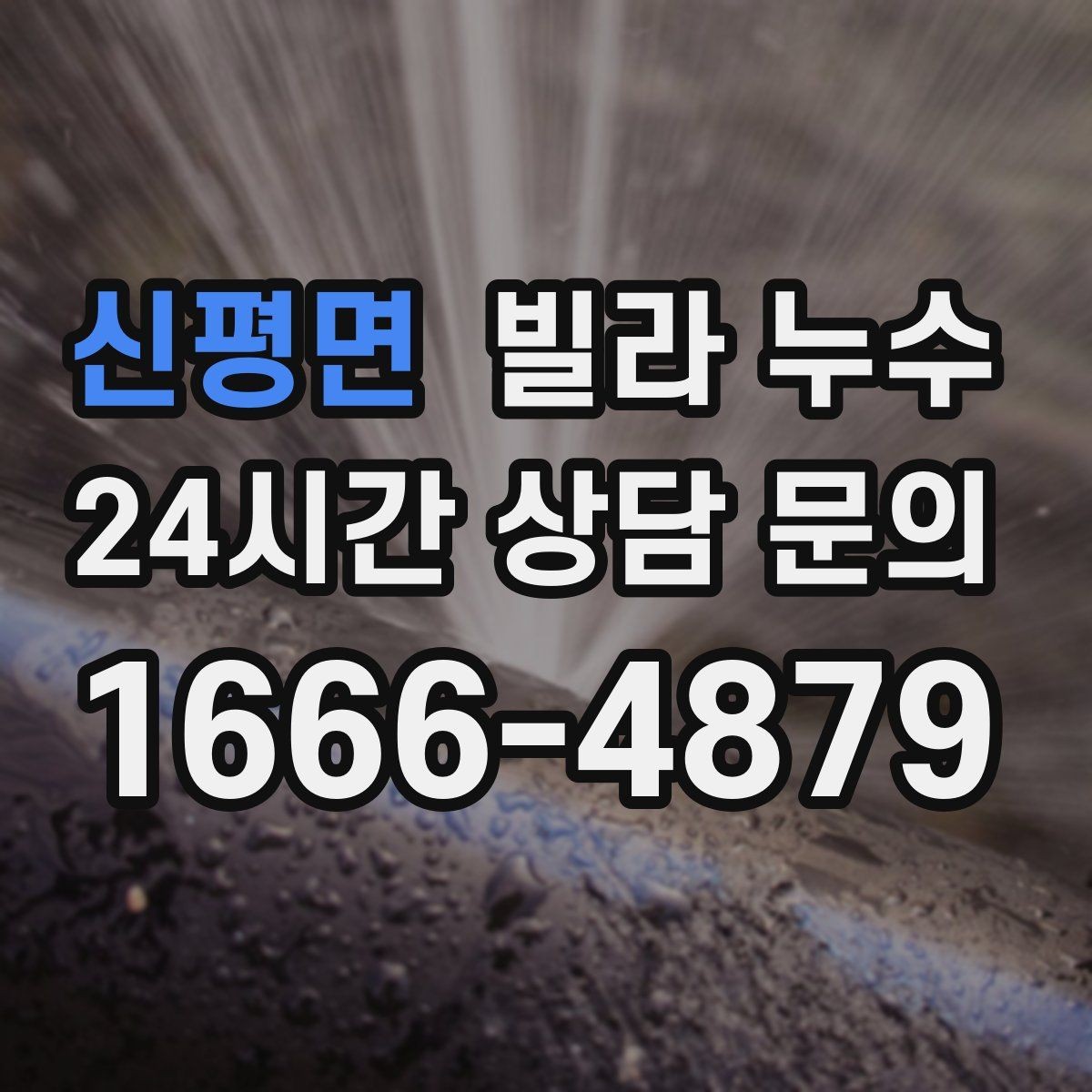 신평면 빌라 누수 배수관 문제로 벽이 젖는 경우 정리