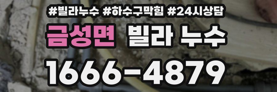 금성면 빌라 누수