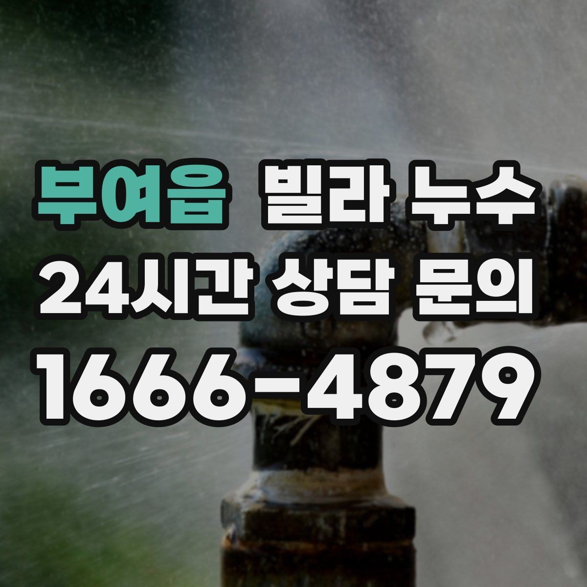 부여읍 빌라 누수 벽지 들뜸이 심해지기 전에 해야 할 것