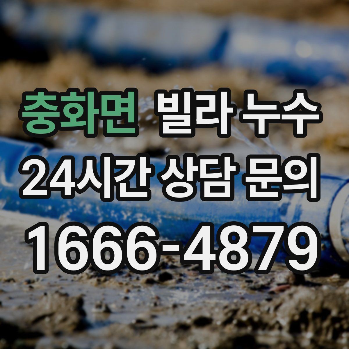 충화면 빌라 누수 세탁실 배수구 역류로 바닥이 젖는다면