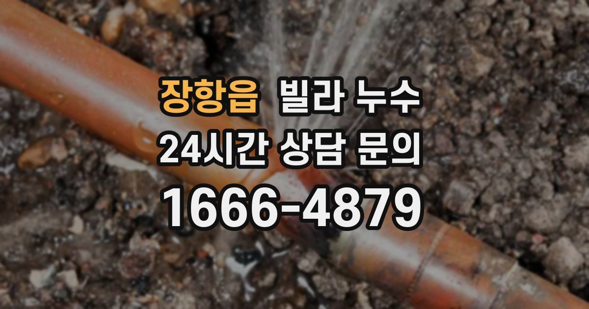 장항읍 빌라 누수