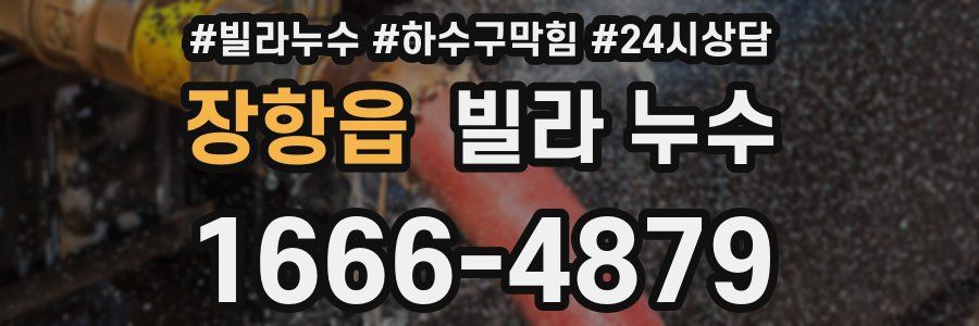 장항읍 빌라 누수