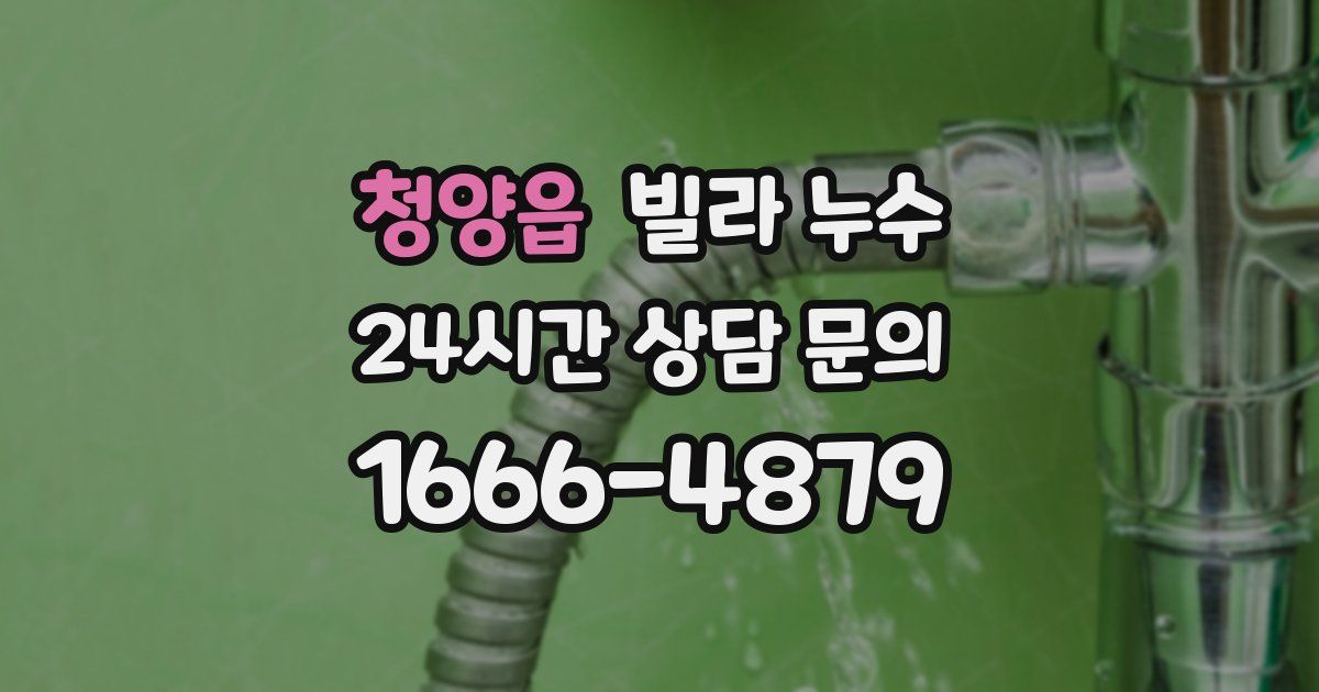 청양읍 빌라 누수