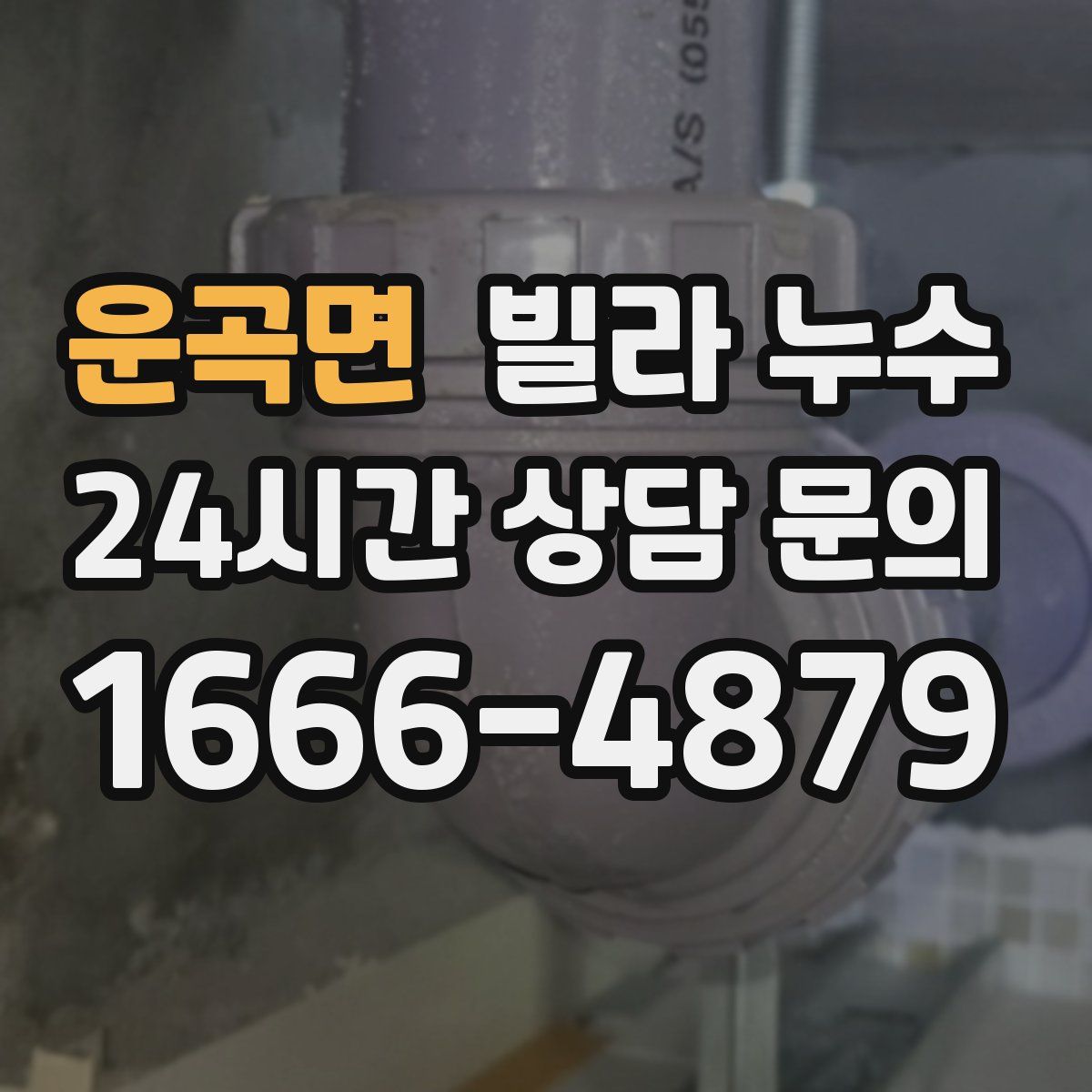 운곡면 빌라 누수