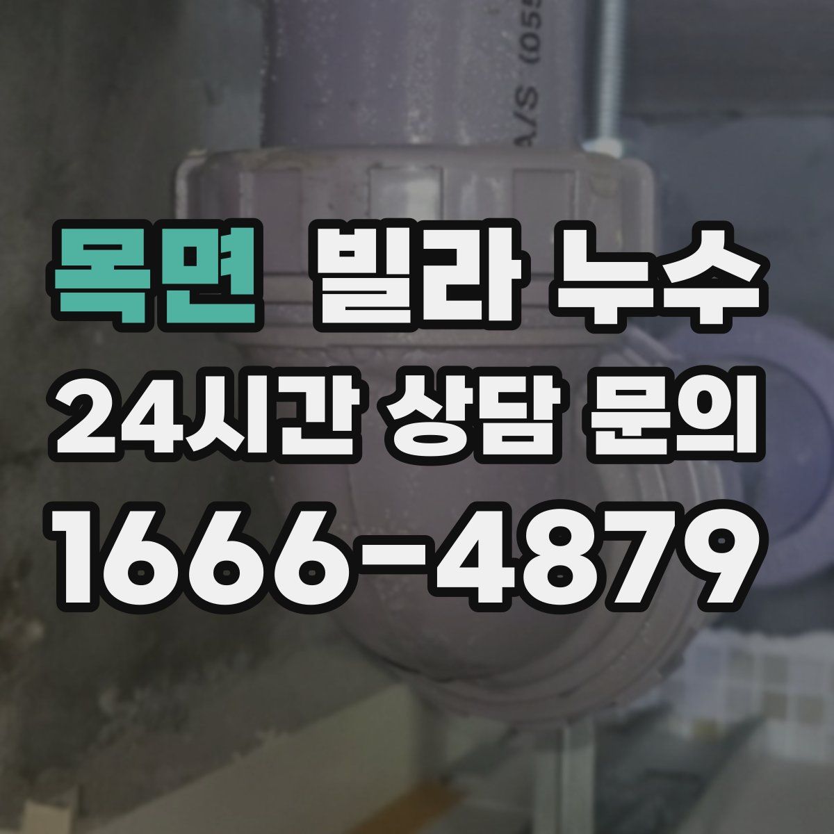 목면 빌라 누수