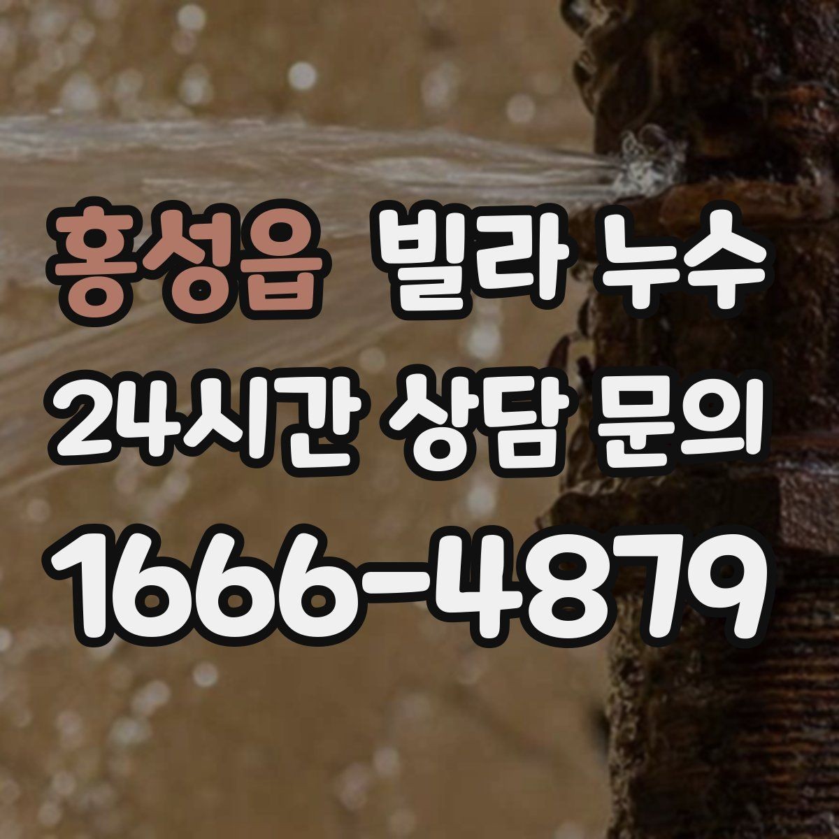 홍성읍 빌라 누수 세탁기 호스 주변 누수로 바닥이 젖는 경우