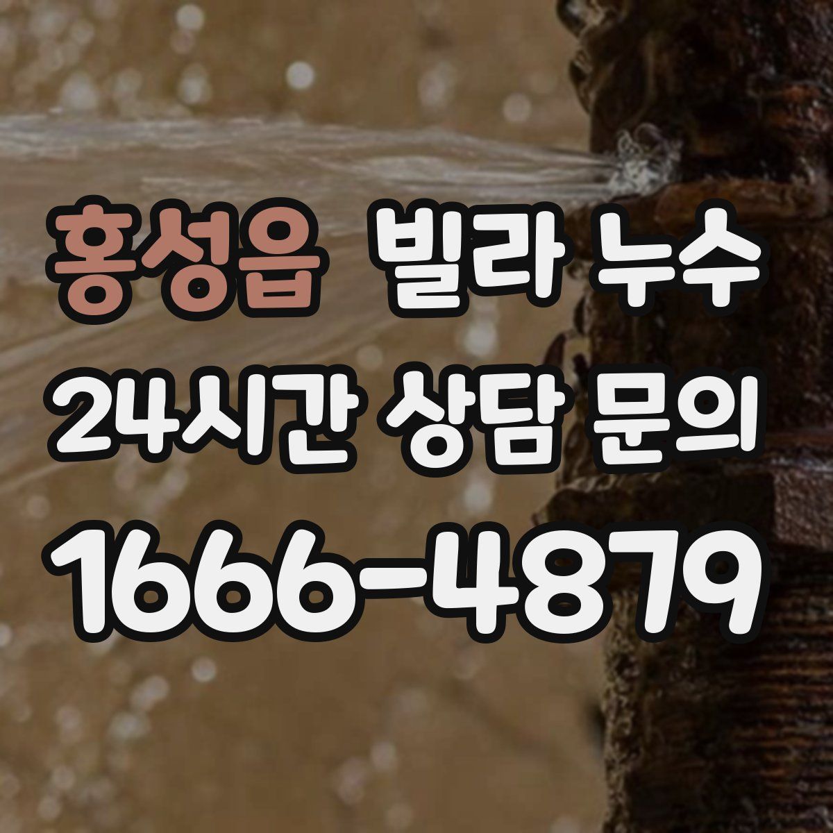 홍성읍 빌라 누수