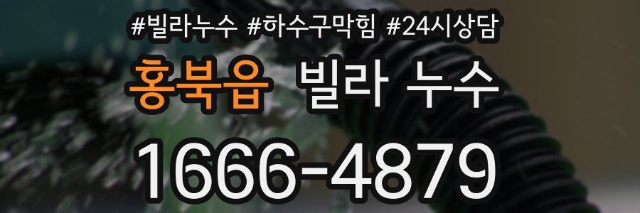 홍북읍 빌라 누수