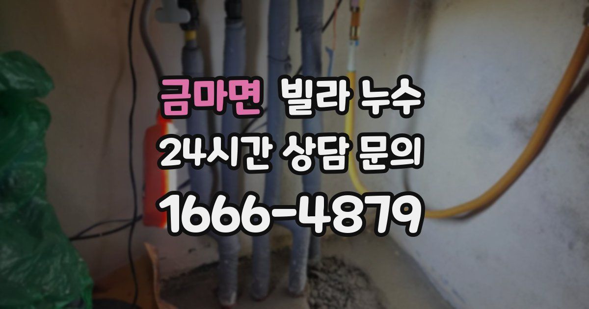 금마면 빌라 누수